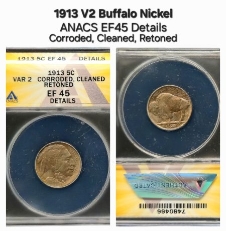 1913 Type 2 Buffalo Nickel ANACS EF45 Details