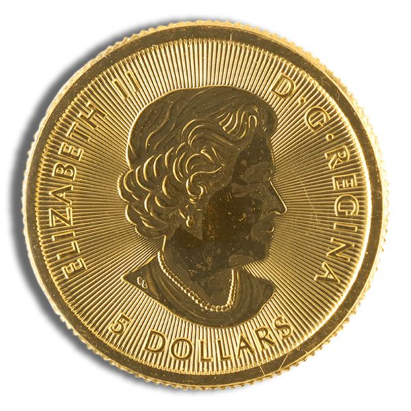 1/10 oz Canadian Polar Bear Gold Coin (Year Varies)